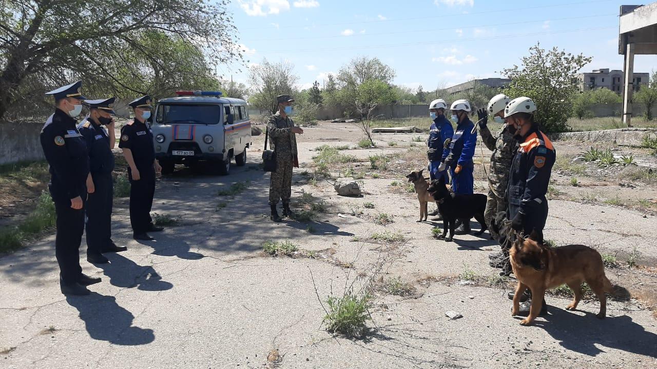 Кинолог, кинолог, қызмет қиын болса да...