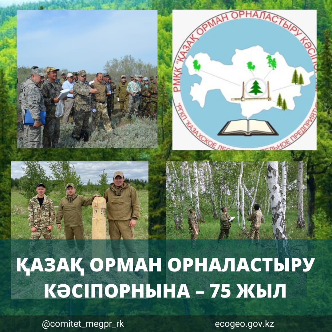 ҚАЗАҚ ОРМАН ОРНАЛАСТЫРУ КӘСІПОРНЫНА – 75 ЖЫЛ