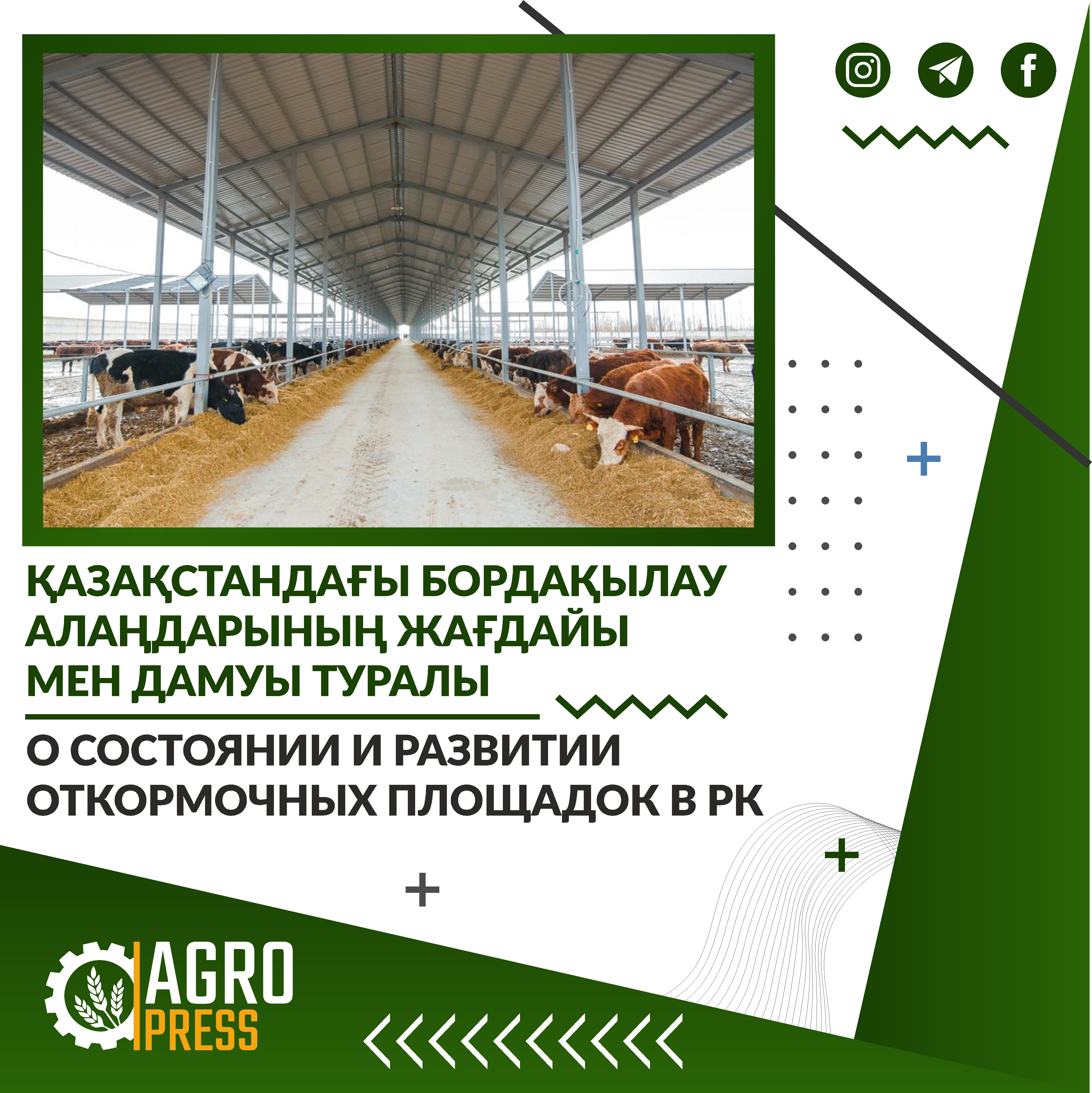 О состоянии и развитии откормочных площадок в РК