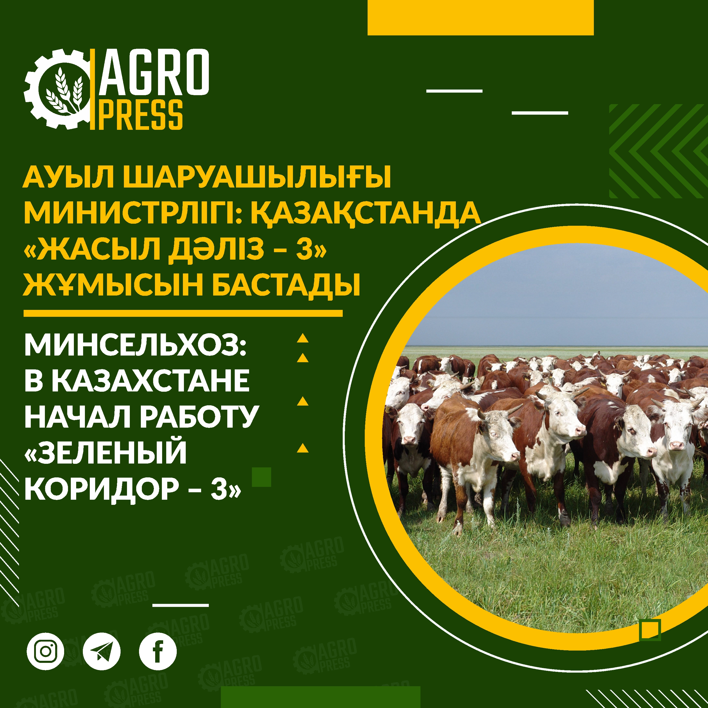 Минсельхоз: В Казахстане начал работу «Зеленый коридор – 3»