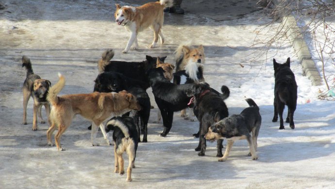 Баулар, куннилингус және шұлықтар, ең жақсы фотосуреттер Баулар, куннилингус және шұлықтар, ең жақсы фотосуреттер