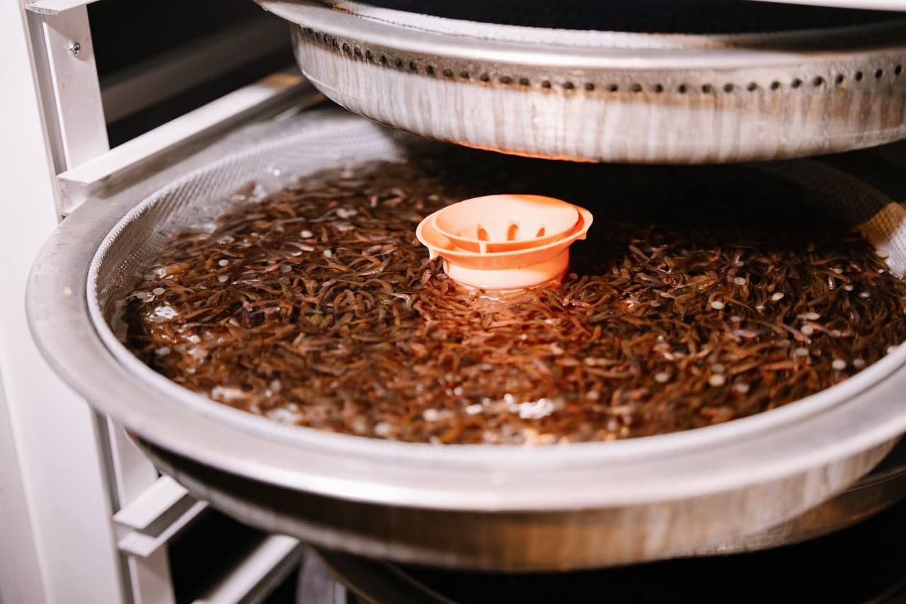 В этом году объем выращенной рыбы в Алматинской области планируется довести до 8 тыс. тонн