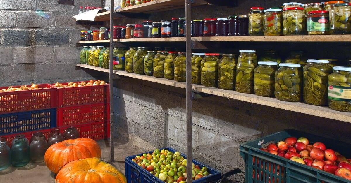 Мен оны үлкен әтешке қойдым