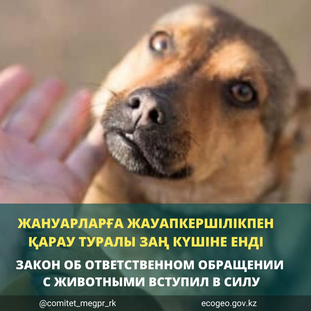 Гламурлық транни порно видеолар