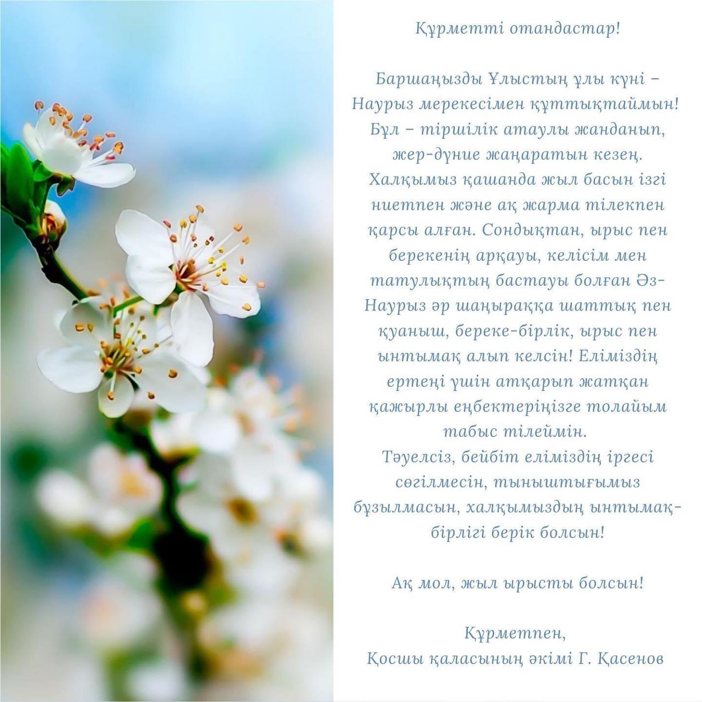 Пысықтың шырыны ағып жатыр