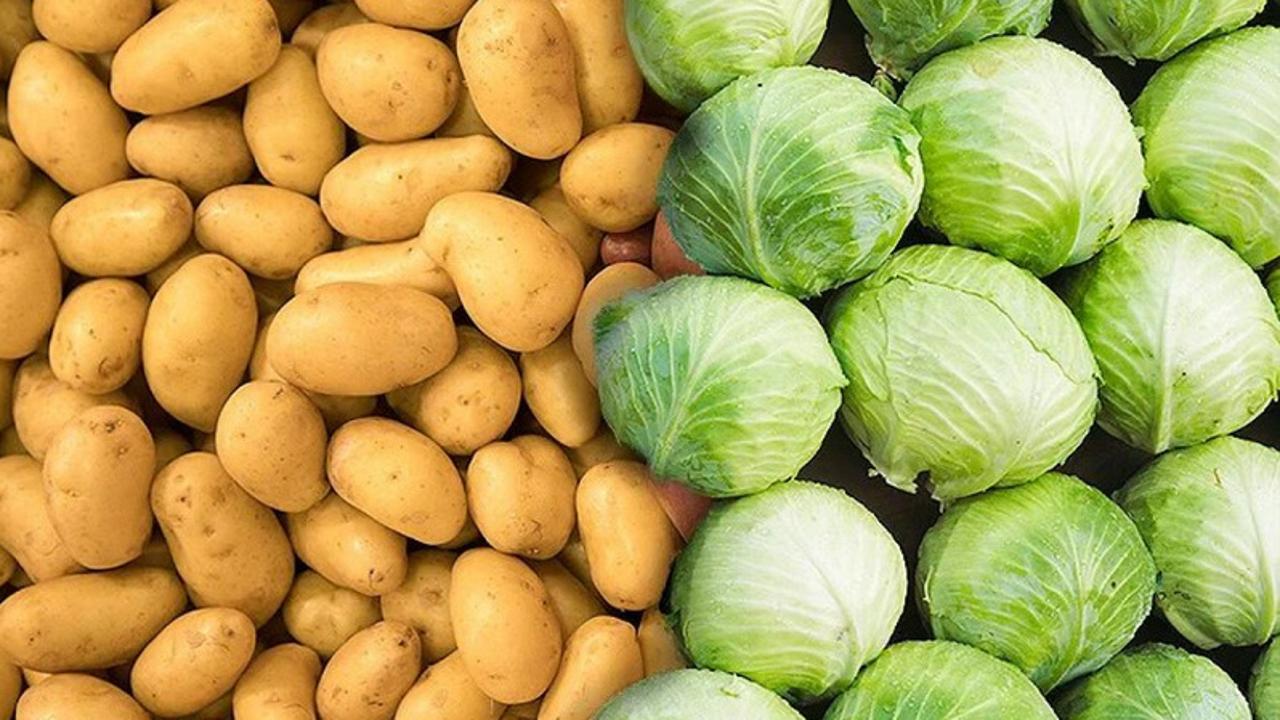 Стабфонд Карагандинской области пополнится овощами нового урожая