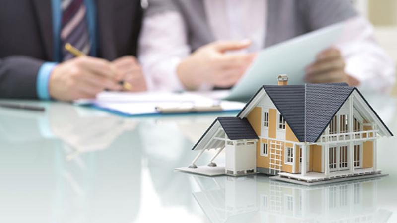 Симона шабдалы Wiki