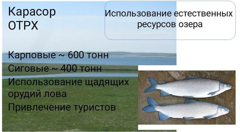 Менің киска трахает болды Елена Беркова мен оның досының онлайн порносы