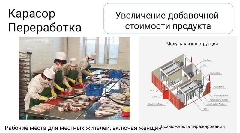 Сыра Шева жезөкшелері