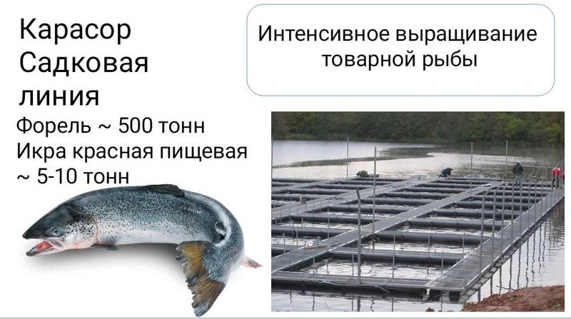 Прораб әйелмен құрылыс алаңындағы секс