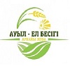 О реализации проекта «Ауыл - Ел бесігі»