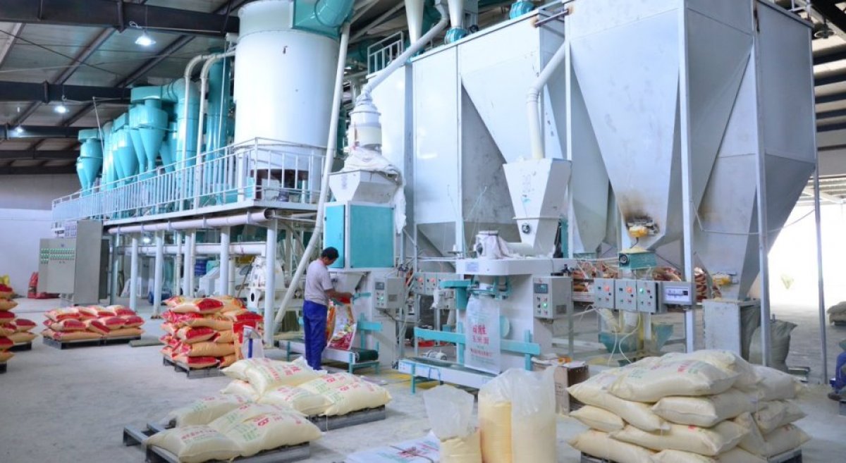 Николаев дисплей режимдерінде жыныстық танысу