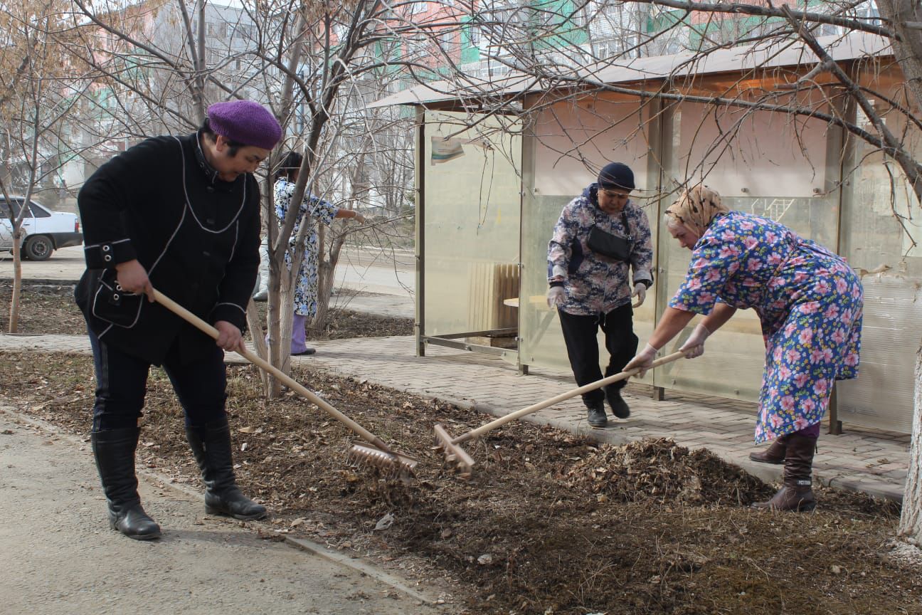 On April 8, a month of improvement and sanitary cleaning of the adjacent territories started in the Alginsky district.
