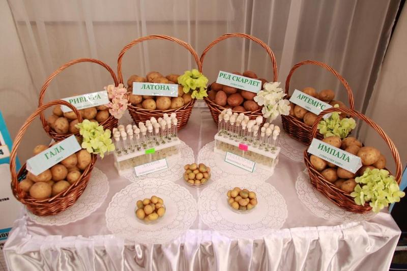 Қарағанды облысында агротехнологияларды енгізу ынталандырылуда