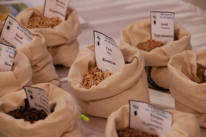 Қарағанды облысында агротехнологияларды енгізу ынталандырылуда