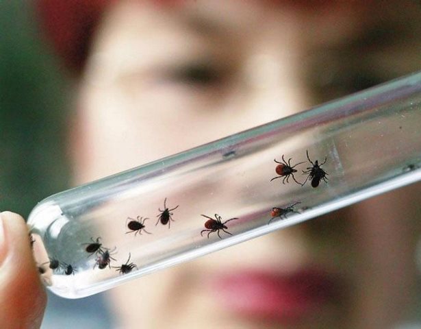 Порнографиялық ресейлік дәрігерге бару