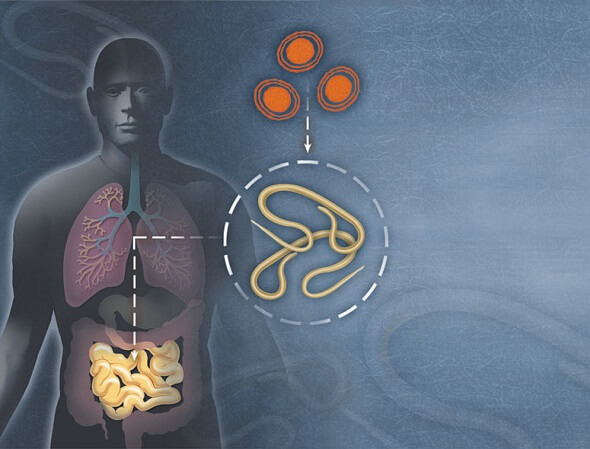 Орыс әкесі қызына массаж жасайды