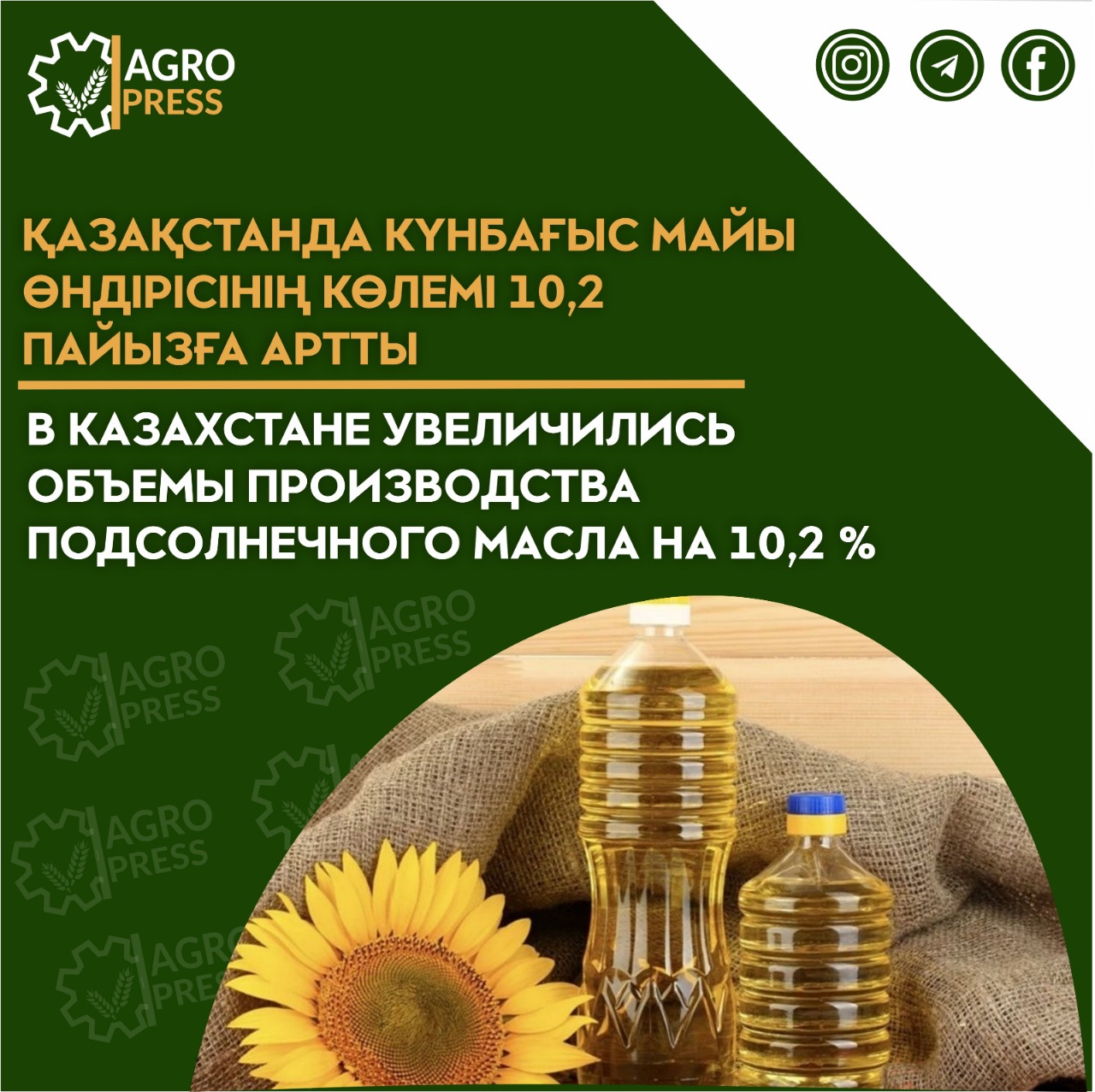 В Казахстане увеличились объемы производства подсолнечного масла на 10,2 %