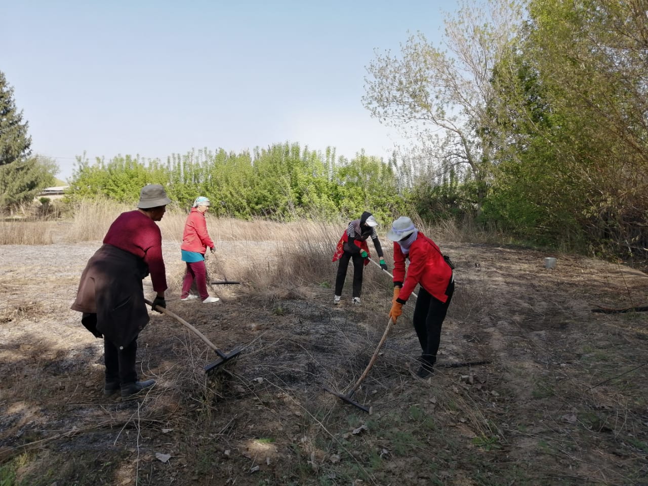 Акция «Чествование ветеранов» на тему «Мои старики - мое богатство»
