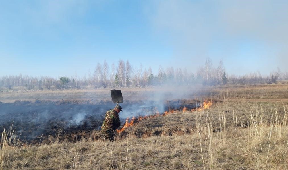Какие противопожарные мероприятия проводят на территории зеленого пояса столицы