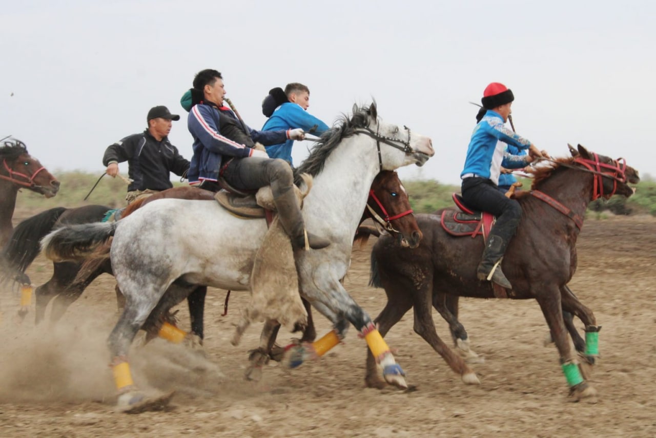 ?лтты? спорт. Кокпар 2022. Седло кокпар. Племя байга. Казахская игра байга.