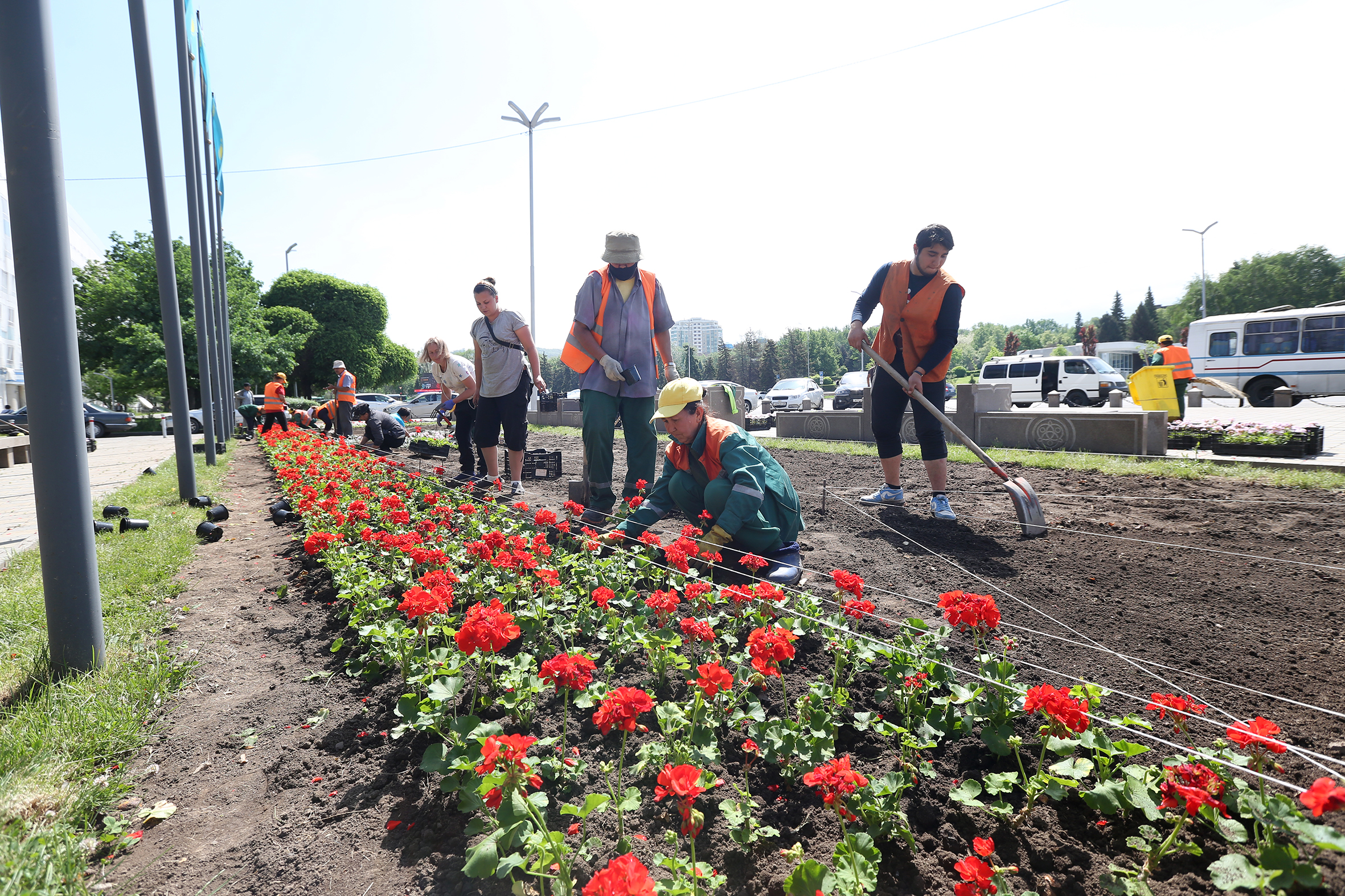 Почти 160 тысяч квадратных метров засадят цветами в Алматы