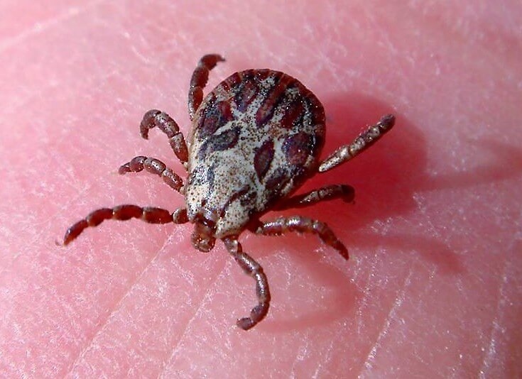 Секс тәте киім ауыстырады Ресейлік жеке БДСМ