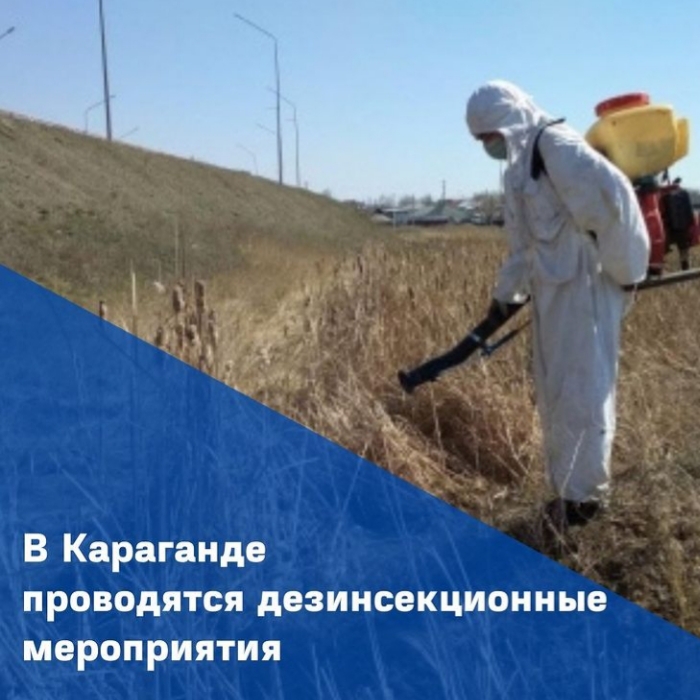 В Караганде идут работы по дезинсекции