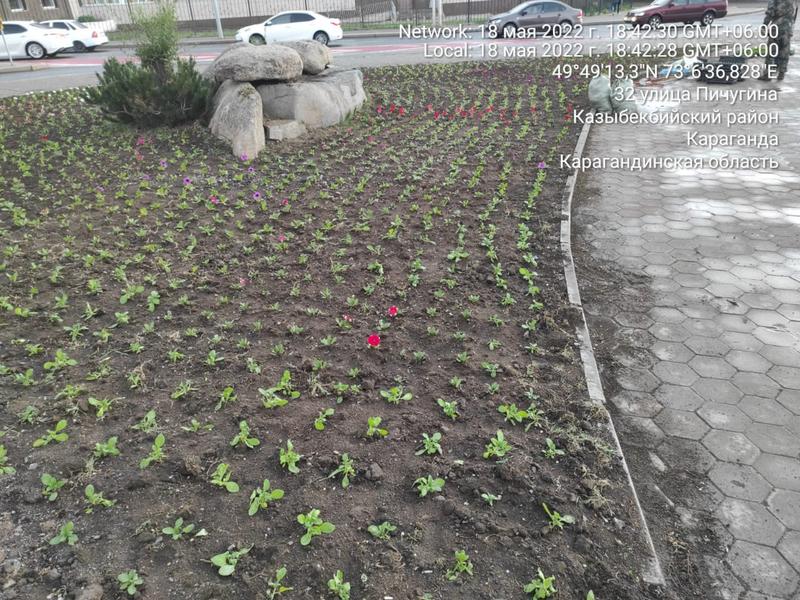 Райли Рид кешке төсекте романтикалық серіктесін трахает етеді