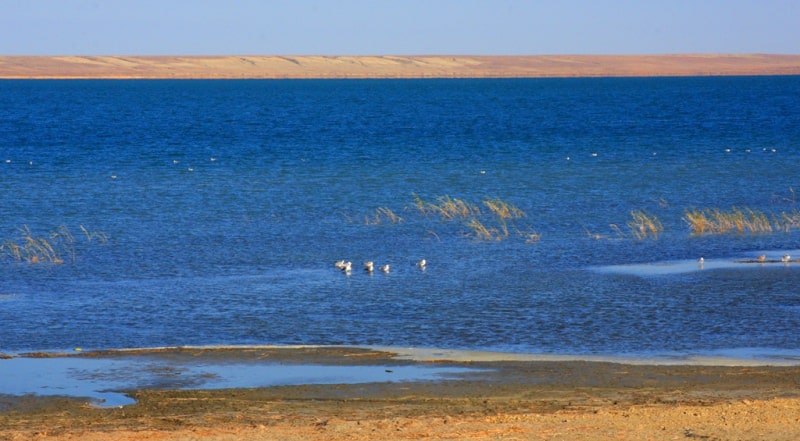 Пришла вода в озера Камбаш и Акшатау в Аральском районе