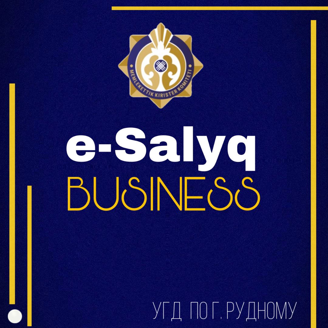 E-Salyq Business мобильді қосымшасы