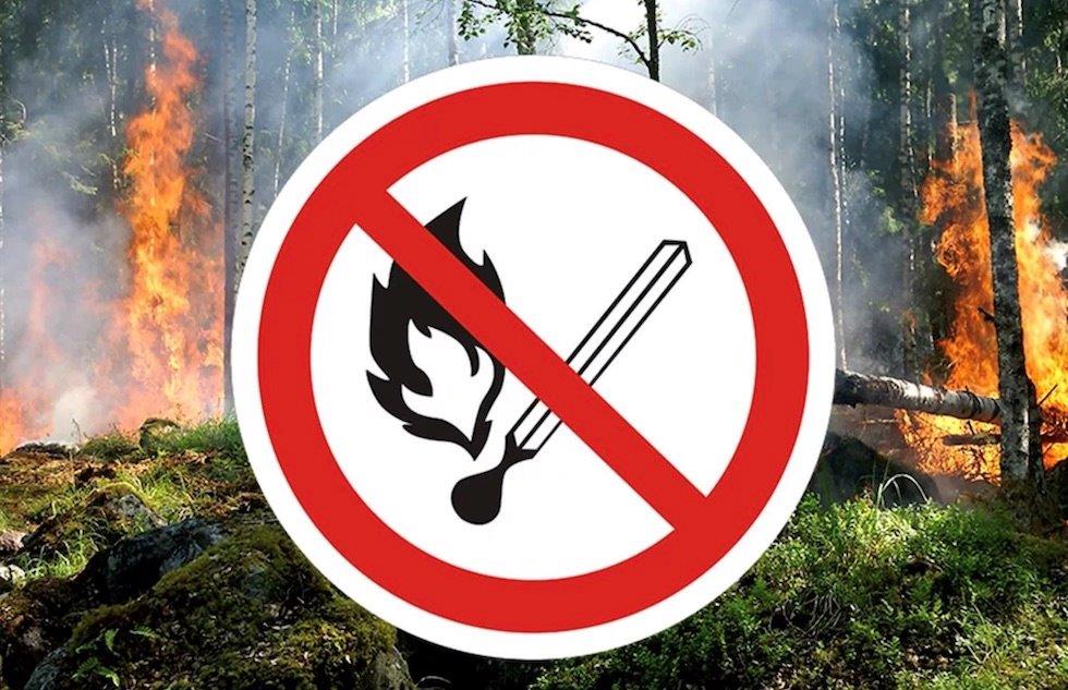 Порно фильм әйелі сорақы Мәскеу радиосының жүргізушілерінің порнографиялық суреттері