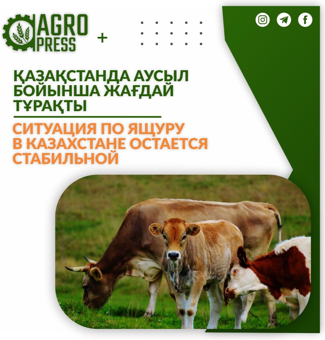 Ситуация по ящуру в Казахстане остается стабильной