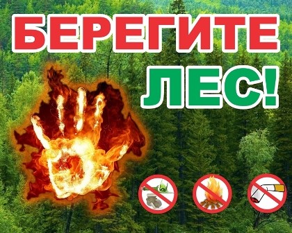 Күйеуінің әйелі порно бауды сүйетін мормондар
