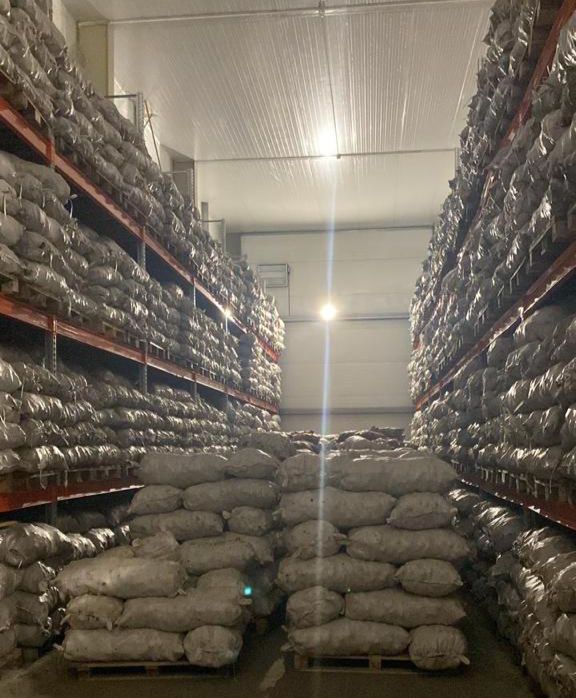 Для сдерживания цен в Нур-Султан поставят 3 тыс. тонн овощей