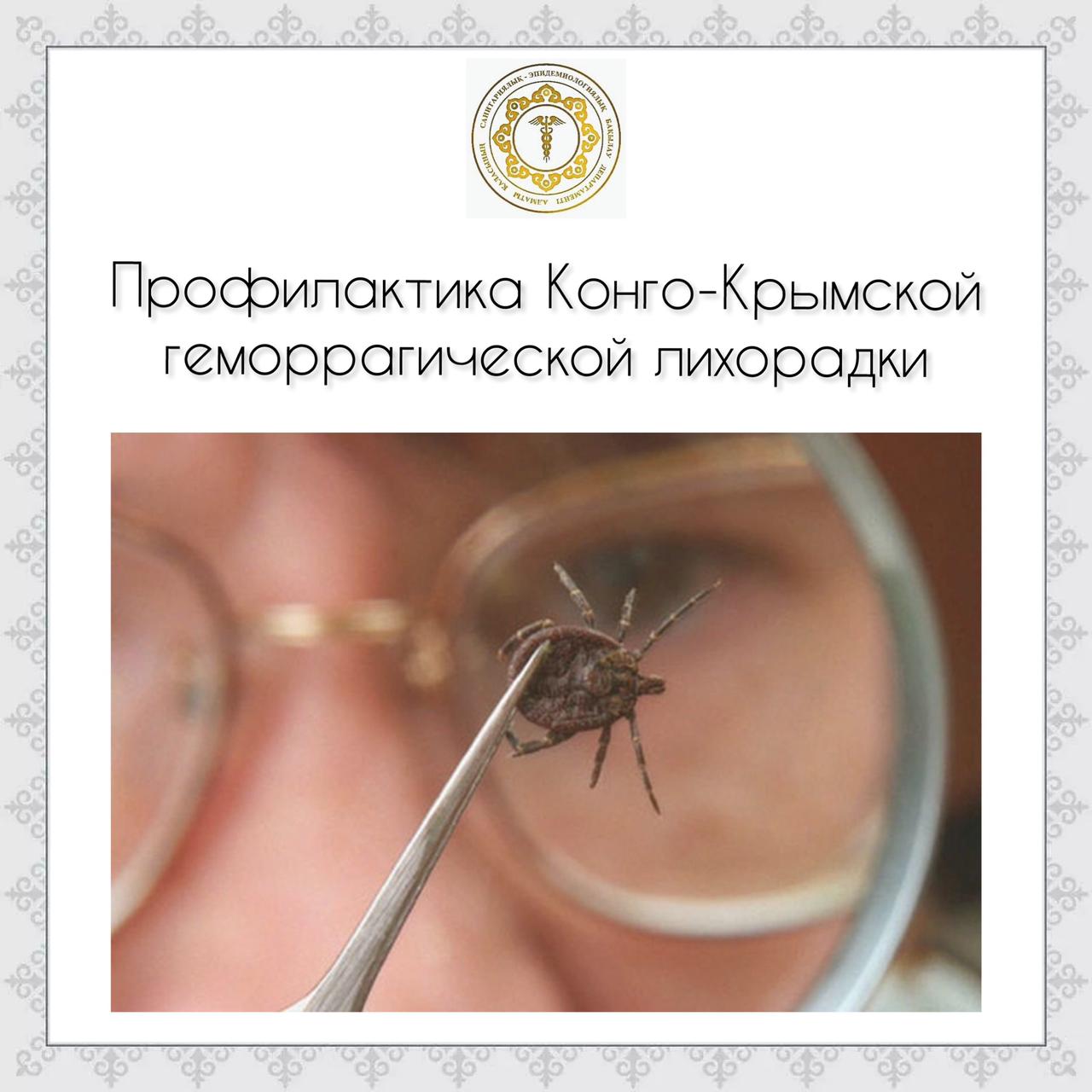 Гинекологтың қабылдауында орысша қараңыз