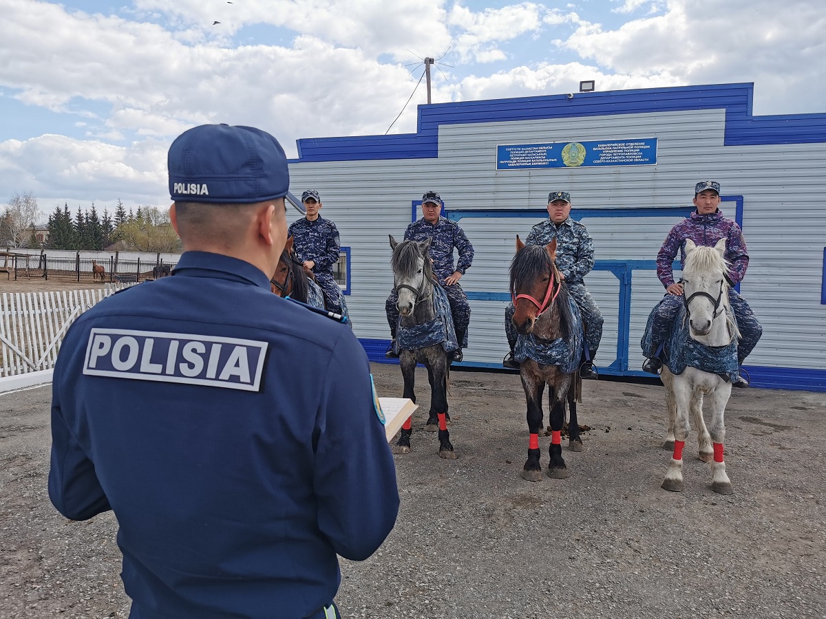 Полицияның кавалериялық бөлімшесінің қызметкерлері Петропавл саяжайларын патрульдеуді бастады