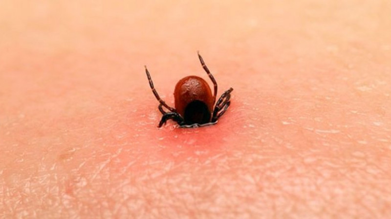 Әйелдер порносын онлайн көру Орыс порно видеолар тормозсыз