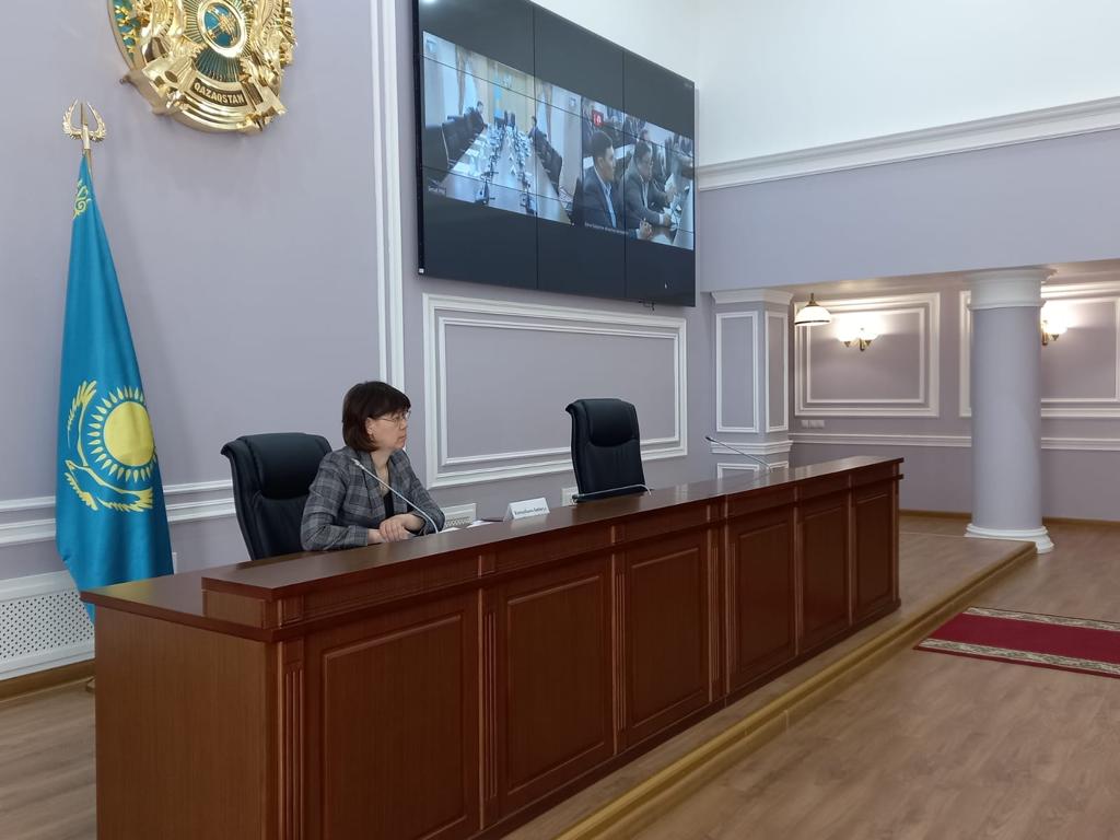 Депутат Сената Парламента РК Н.Торегалиев провел заседание с участием центральных исполнительных органов