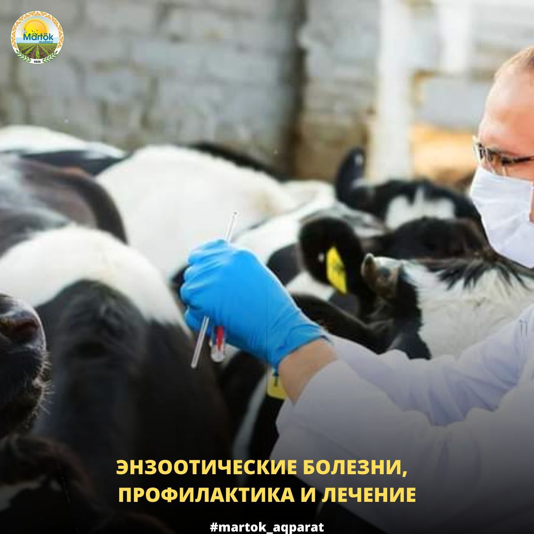 Энзоотические болезни, профилактика и лечение