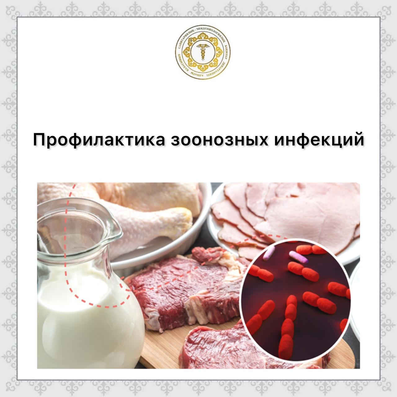 Профилактика зоонозных инфекций Профилактика зоонозных инфекций
