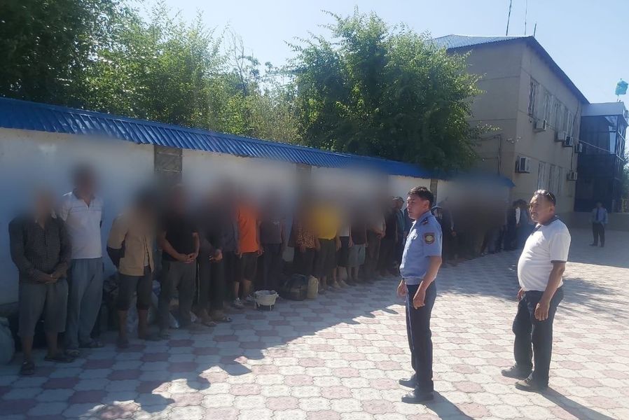 Полицейские выявили 51 иностранца, занимавшихся незаконной добычей ферулы