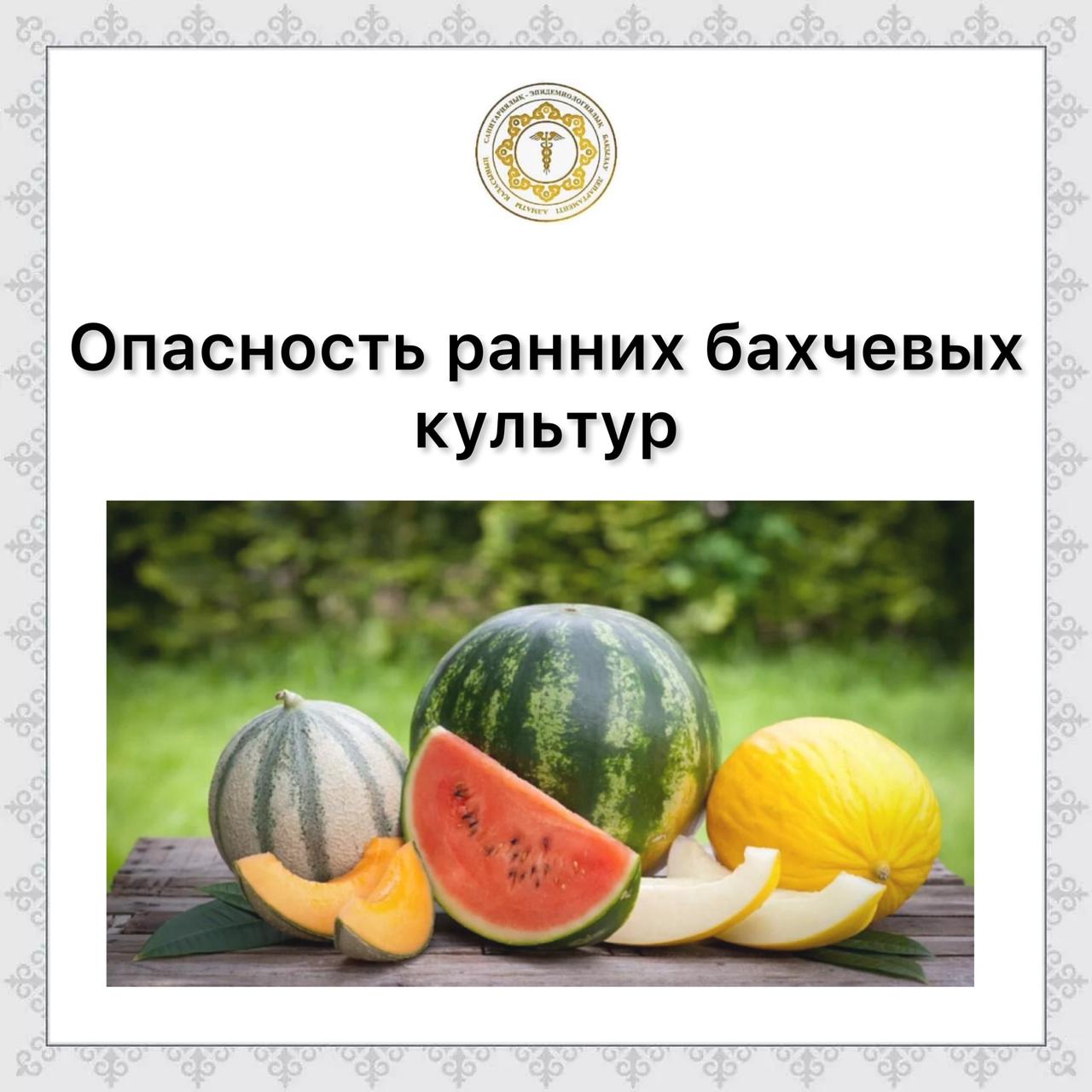 Опасность ранних бахчевых культур