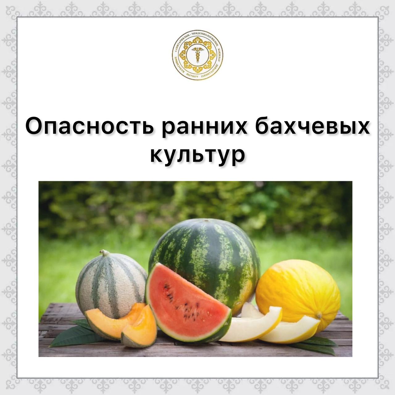 Опасность ранних бахчевых культур