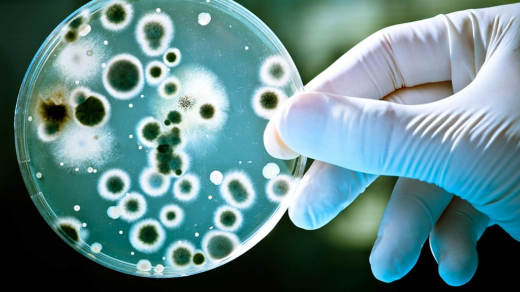 Порно бәрі әйелге қатысты