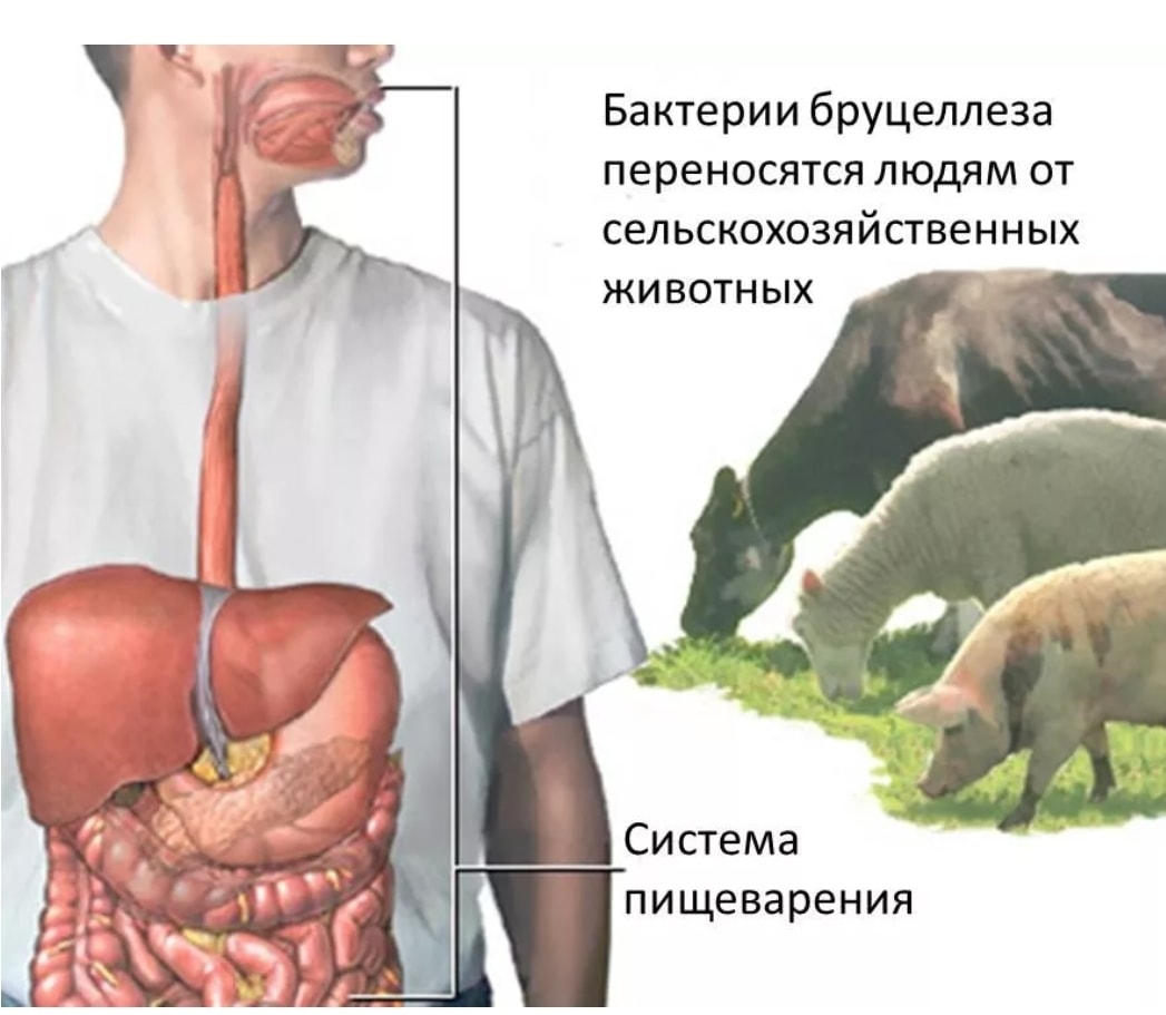 Ұзын сиқырлы видео