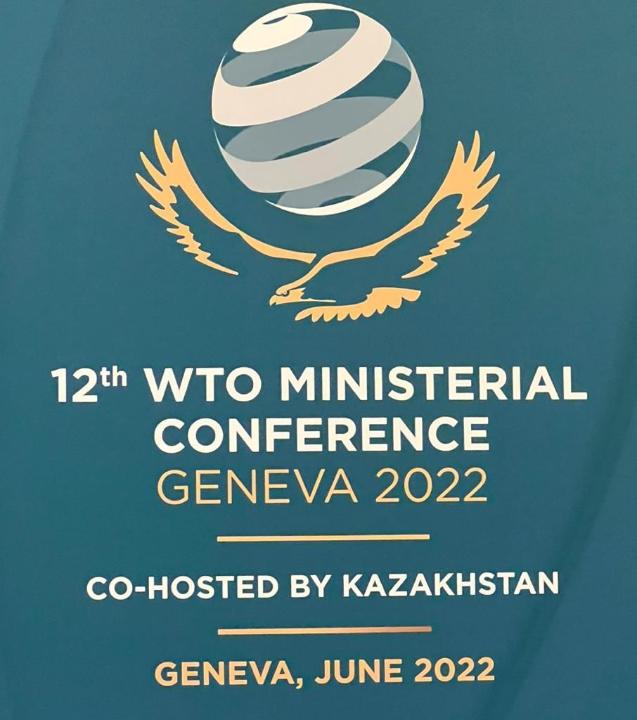 Председательство Казахстана на МК-12 Всемирной торговой организации завершилось успешно