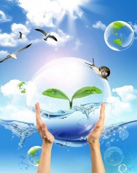 Аузына сиып жатқан қожайындар туралы бейнелер