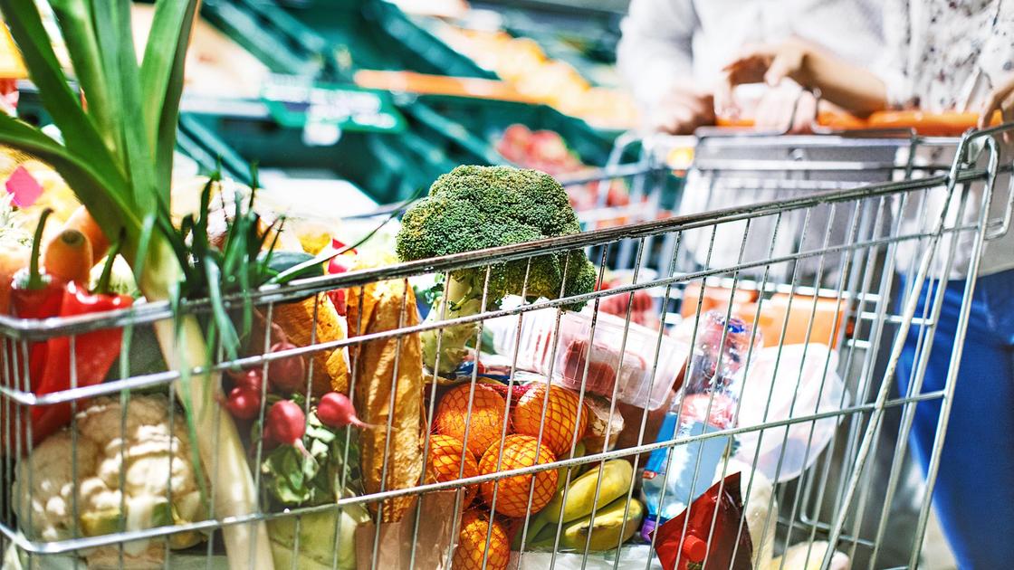 Жители Алматы могут проверить безопасность купленных продуктов на нитраты