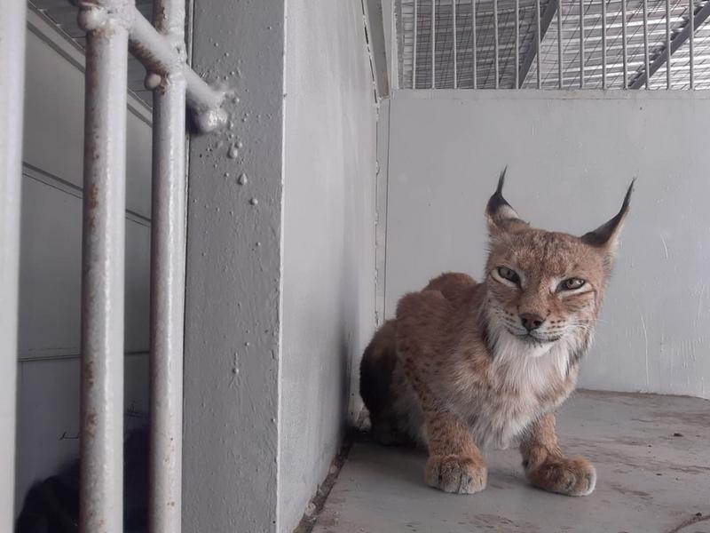 Ер адам жыныстық қатынас үшін жасырын микрокамера орнатты.